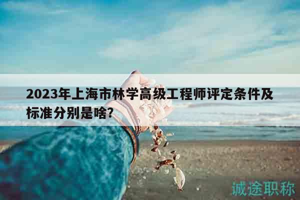 2023年上海市林学高级工程师评定条件及标准分别是啥？
