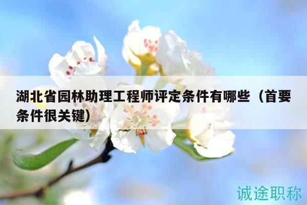 湖北省园林助理工程师评定条件有哪些（首要条件很关键）