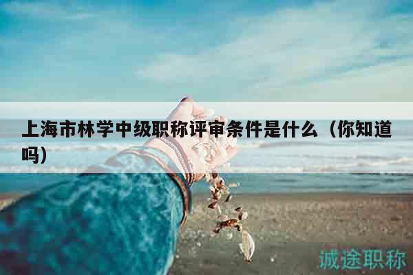 上海市林学中级职称评审条件是什么（你知道吗）