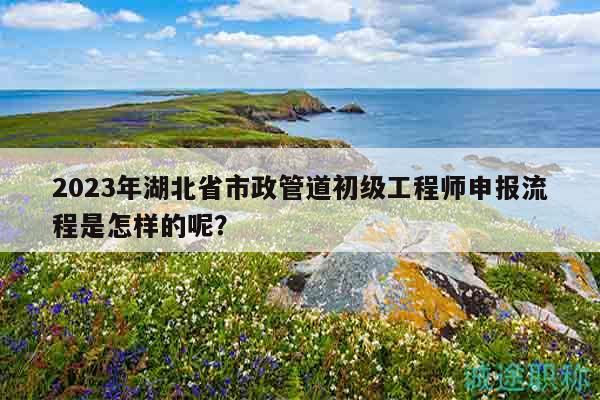 2023年湖北省市政管道初级工程师申报流程是怎样的呢？