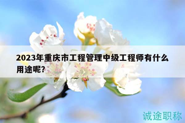 2023年重庆市工程管理中级工程师有什么用途呢？
