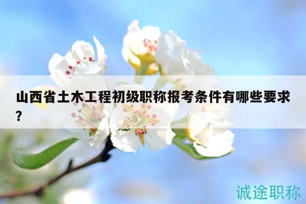 山西省土木工程初级职称报考条件有哪些要求？