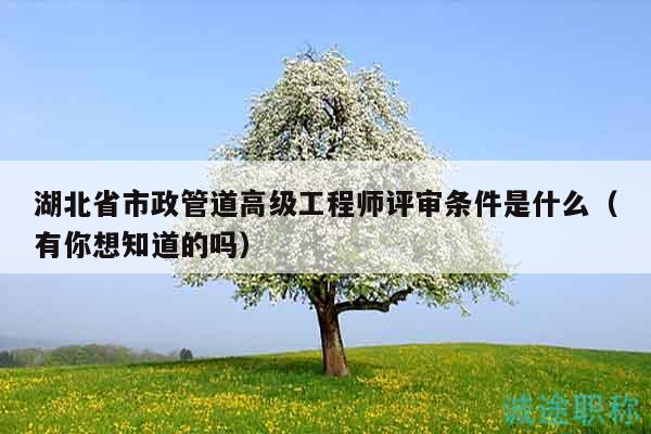 湖北省市政管道高级工程师评审条件是什么（有你想知道的吗）