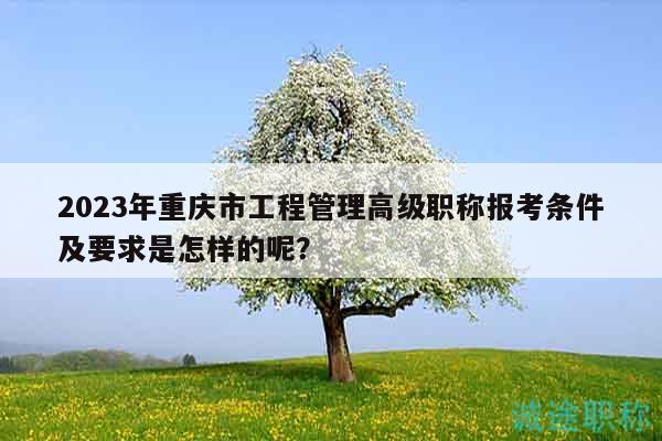 2023年重庆市工程管理高级职称报考条件及要求是怎样的呢？