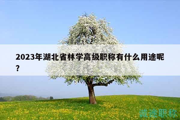 2023年湖北省林学高级职称有什么用途呢？