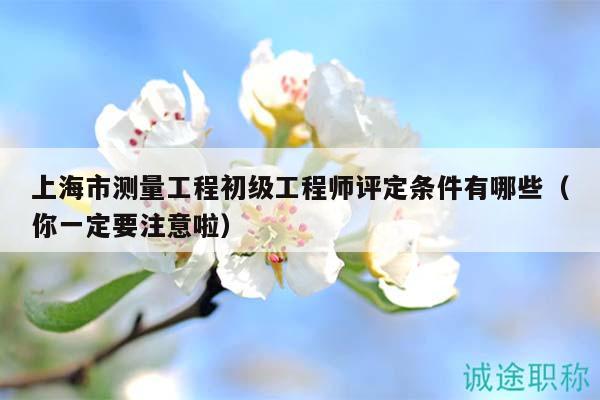 上海市测量工程初级工程师评定条件有哪些（你一定要注意啦）
