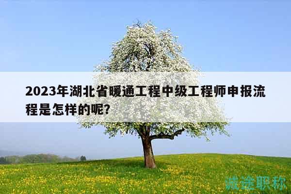 2023年湖北省暖通工程中级工程师申报流程是怎样的呢？