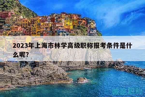 2023年上海市林学高级职称报考条件是什么呢？