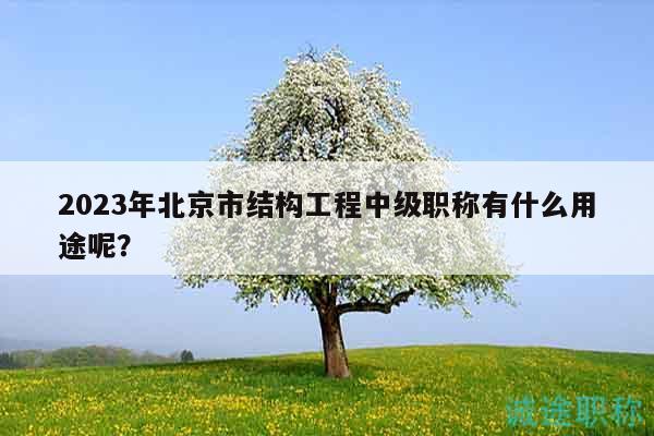 2023年北京市结构工程中级职称有什么用途呢？