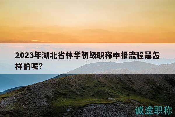 2023年湖北省林学初级职称申报流程是怎样的呢？