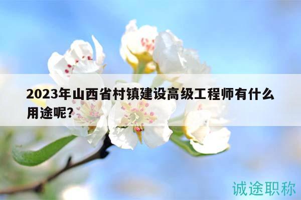 2023年山西省村镇建设高级工程师有什么用途呢？