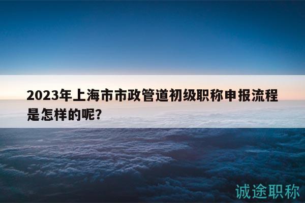 2023年上海市市政管道初级职称申报流程是怎样的呢？