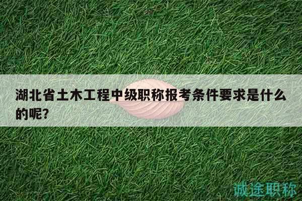 湖北省土木工程中级职称报考条件要求是什么的呢？