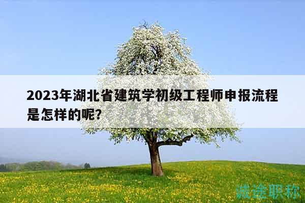 2023年湖北省建筑学初级工程师申报流程是怎样的呢？