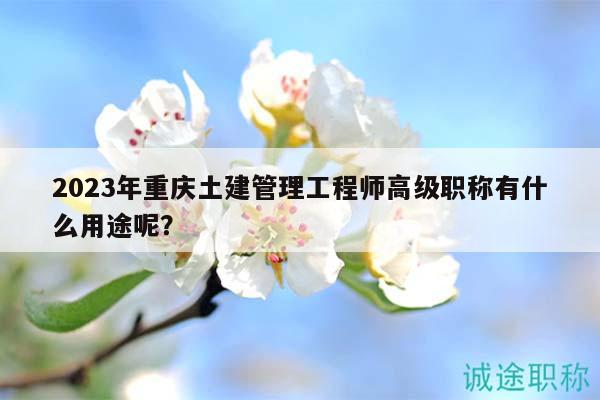 2023年重庆土建管理工程师高级职称有什么用途呢？