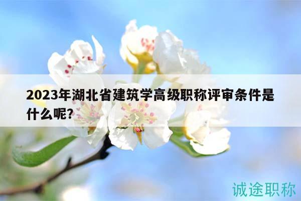 2023年湖北省建筑学高级职称评审条件是什么呢？