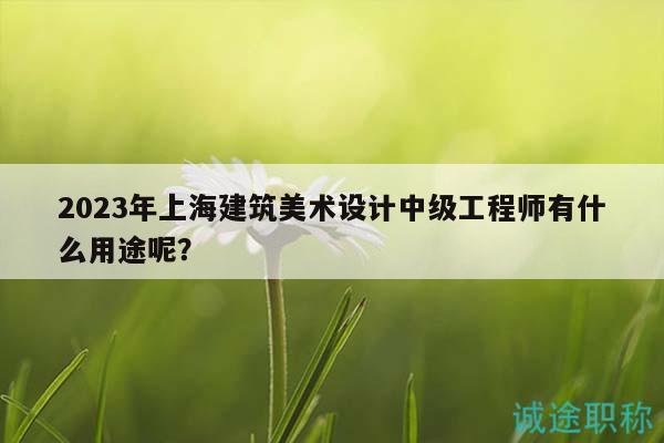 2023年上海建筑美术设计中级工程师有什么用途呢？