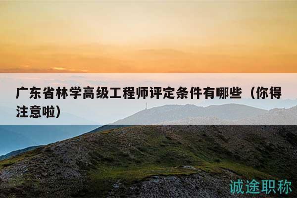 广东省林学高级工程师评定条件有哪些（你得注意啦）