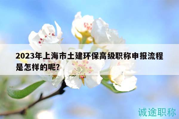 2023年上海市土建环保高级职称申报流程是怎样的呢？