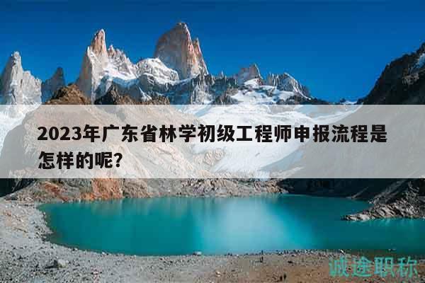 2023年广东省林学初级工程师申报流程是怎样的呢？