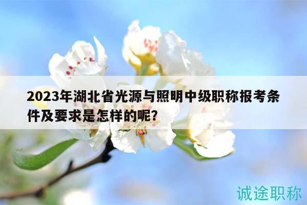 2023年湖北省光源与照明中级职称报考条件及要求是怎样的呢？