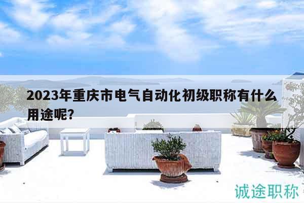 2023年重庆市电气自动化初级职称有什么用途呢？