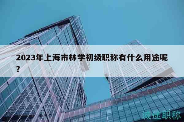 2023年上海市林学初级职称有什么用途呢？
