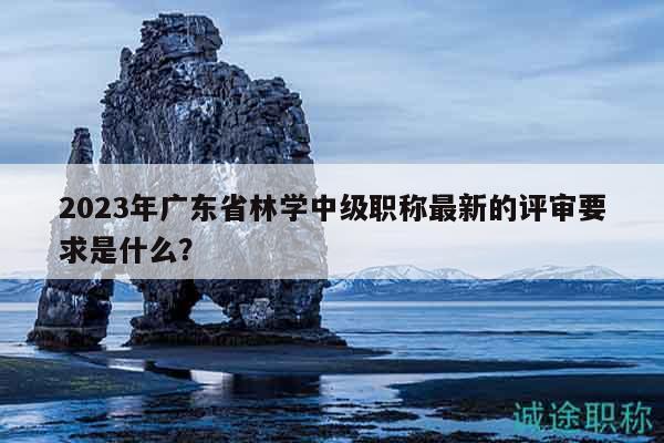 2023年广东省林学中级职称最新的评审要求是什么？