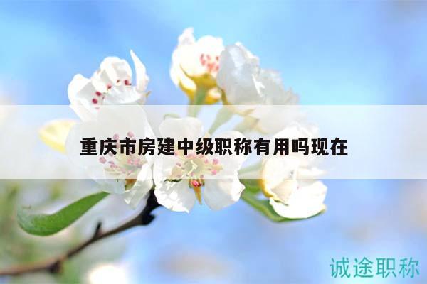 重庆市房建中级职称有用吗现在