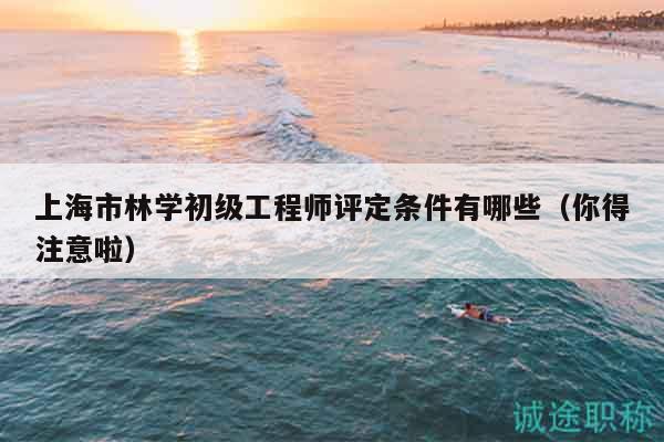 上海市林学初级工程师评定条件有哪些（你得注意啦）