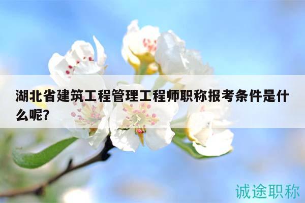 湖北省建筑工程管理工程师职称报考条件是什么呢？
