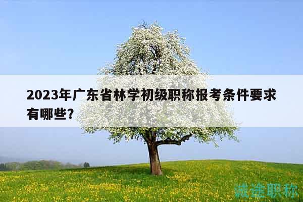 2023年广东省林学初级职称报考条件要求有哪些？