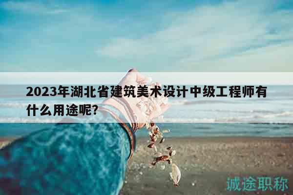 2023年湖北省建筑美术设计中级工程师有什么用途呢？