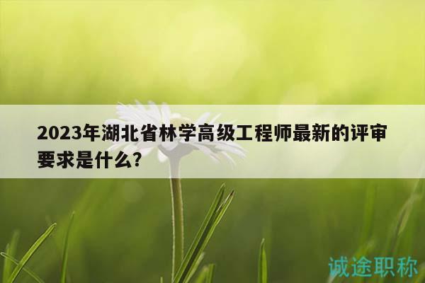2023年湖北省林学高级工程师最新的评审要求是什么？