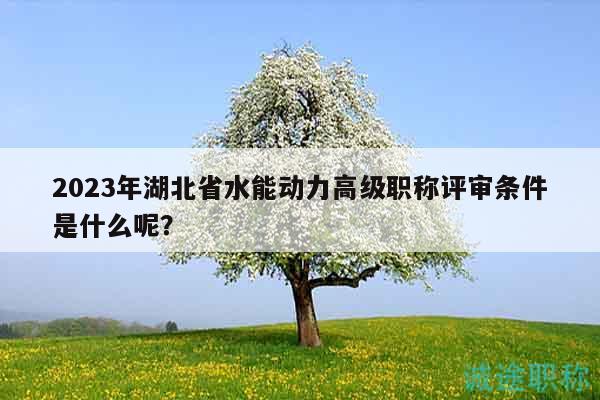 2023年湖北省水能动力高级职称评审条件是什么呢？