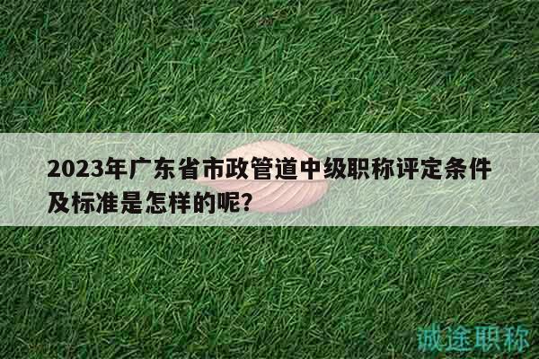 2023年广东省市政管道中级职称评定条件及标准是怎样的呢？