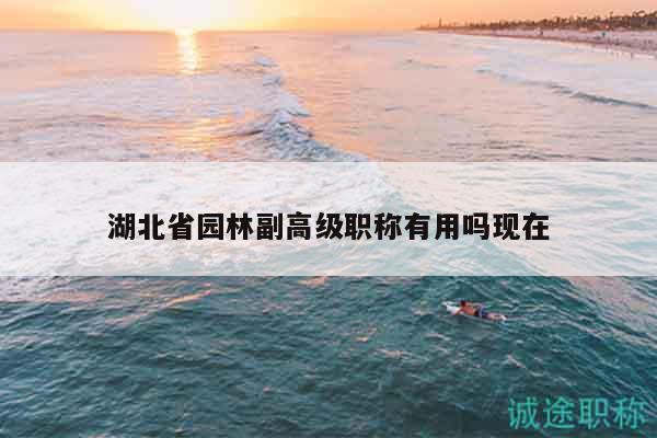 湖北省园林副高级职称有用吗现在