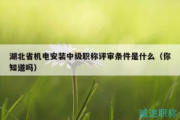 湖北省机电安装中级职称评审条件是什么（你知道吗）