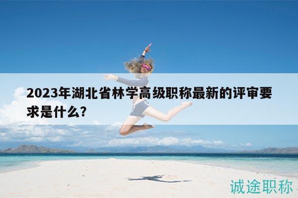 2023年湖北省林学高级职称最新的评审要求是什么？