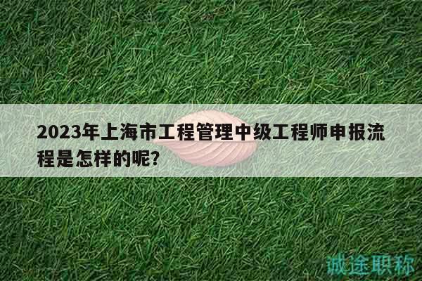 2023年上海市工程管理中级工程师申报流程是怎样的呢？