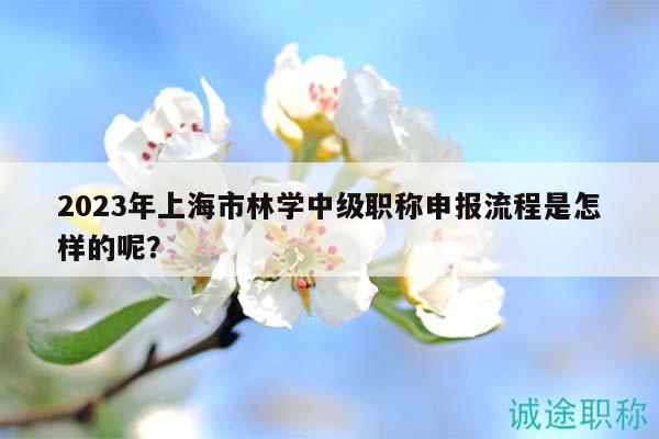 2023年上海市林学中级职称申报流程是怎样的呢？