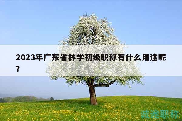 2023年广东省林学初级职称有什么用途呢？