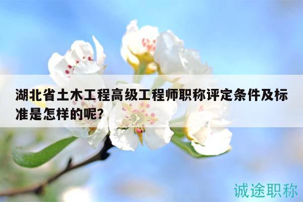 湖北省土木工程高级工程师职称评定条件及标准是怎样的呢？
