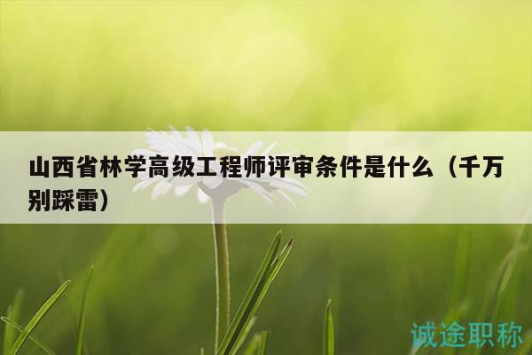 山西省林学高级工程师评审条件是什么（千万别踩雷）