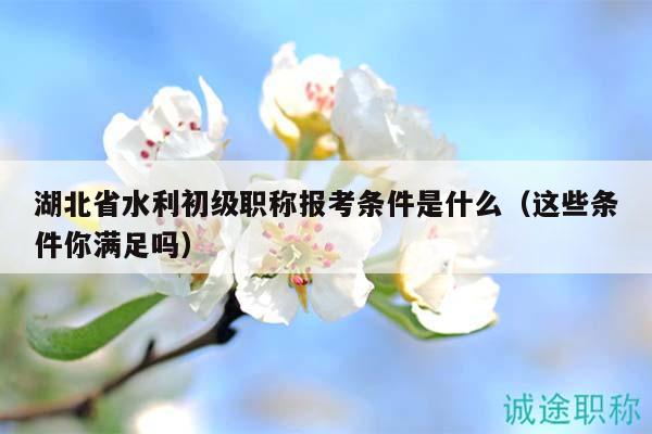 湖北省水利初级职称报考条件是什么（这些条件你满足吗）
