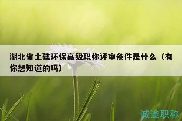 湖北省土建环保高级职称评审条件是什么（有你想知道的吗）