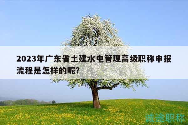 2023年广东省土建水电管理高级职称申报流程是怎样的呢？