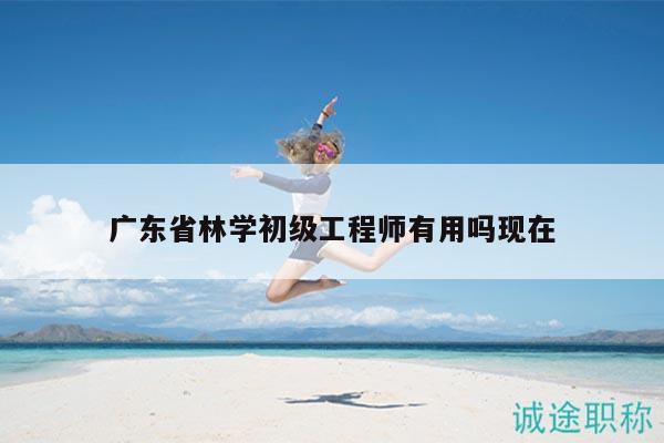 广东省林学初级工程师有用吗现在