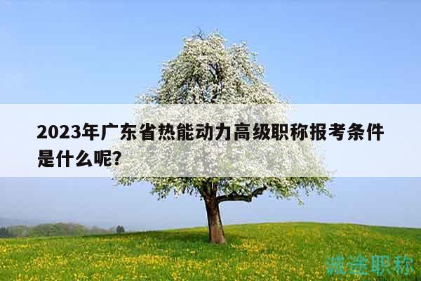2023年广东省热能动力高级职称报考条件是什么呢？