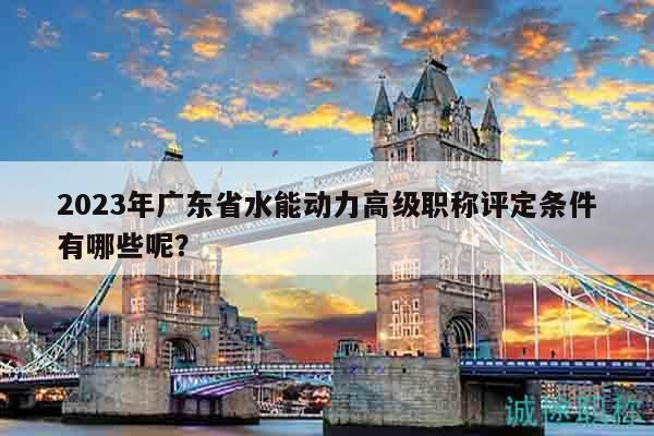 2023年广东省水能动力高级职称评定条件有哪些呢？